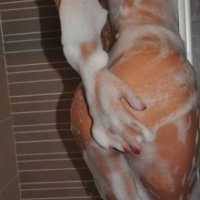 Erdemli'nin Yeni Ateşi: Escort Bayan